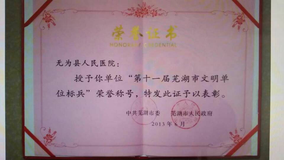蕪湖市第十一屆文明單位標(biāo)兵稱號(hào)