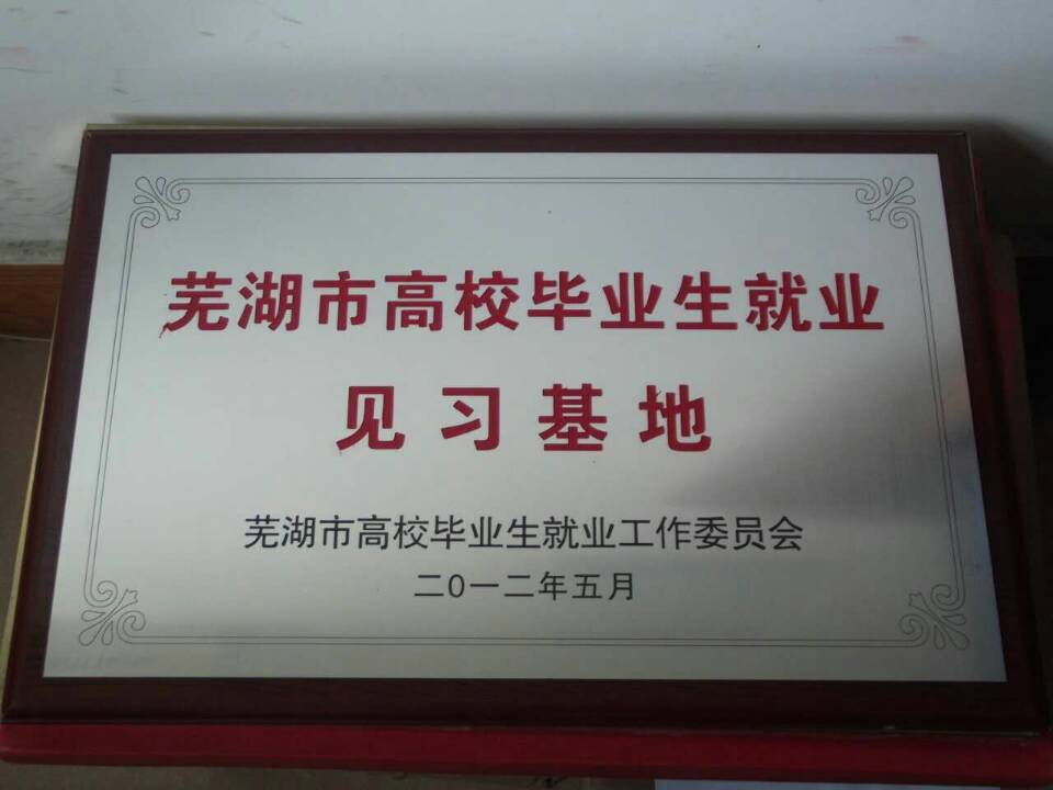 蕪湖市高校畢業(yè)生見(jiàn)習(xí)基地